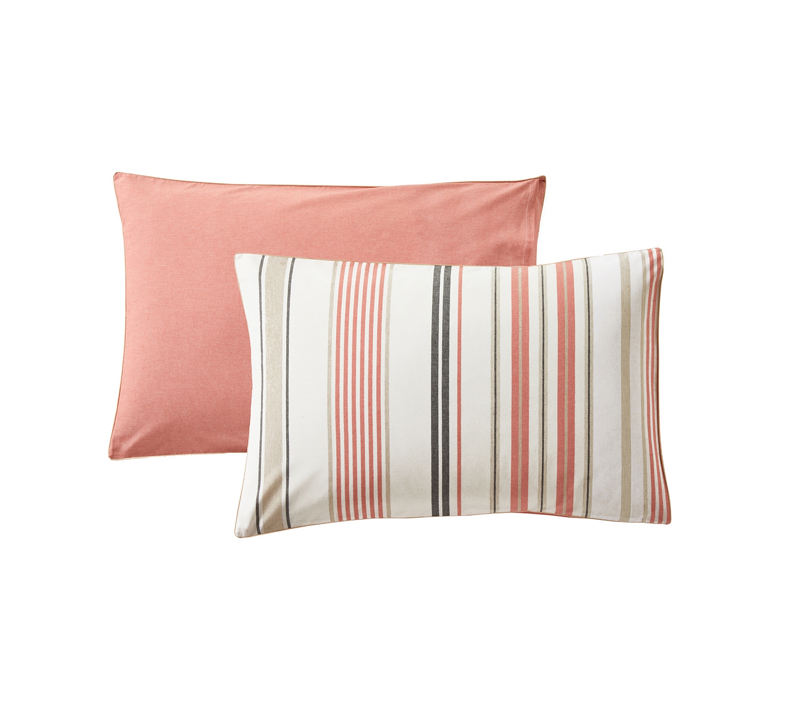 TAIE HORIZON CORAIL 